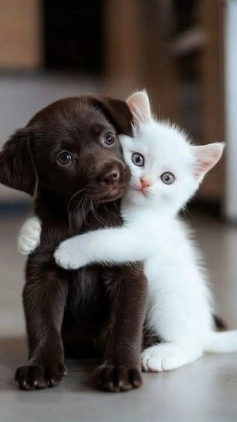 Некому не отдам