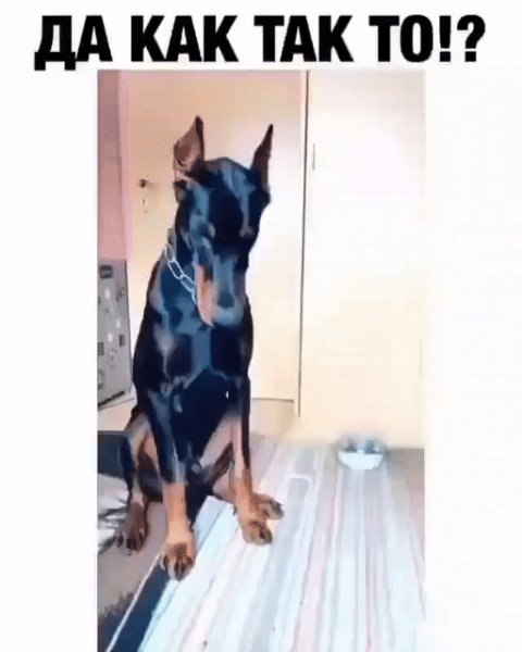 Твою дивизию!
