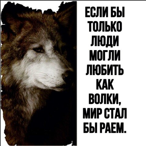 Верность