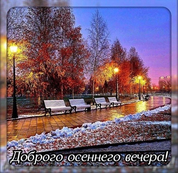 file_95070850