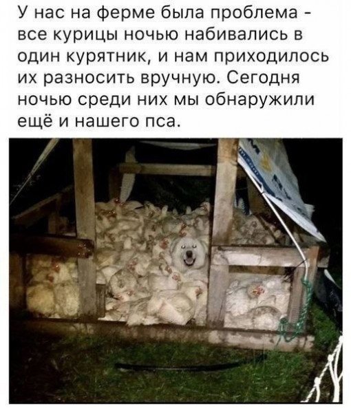 file_102311444