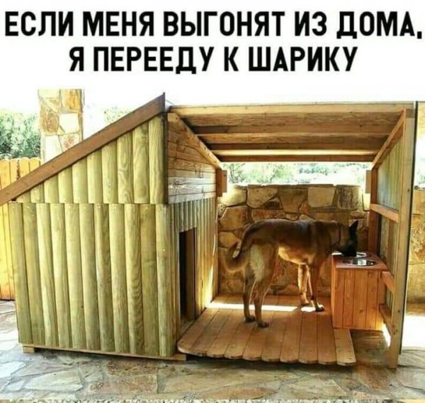 FB IMG 1558306823942