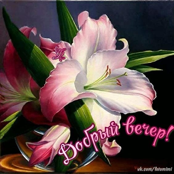 Добрый вечер