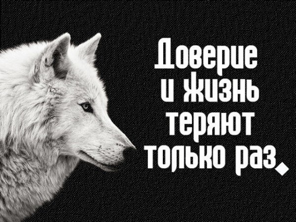 Доверие и жизнь