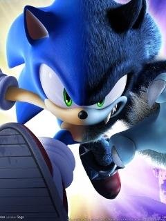 Sonic unleashed