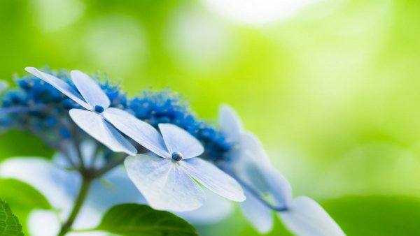 file_82034172
