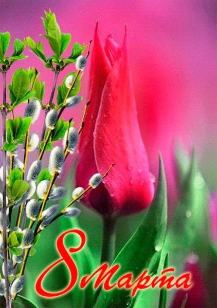 8 марта