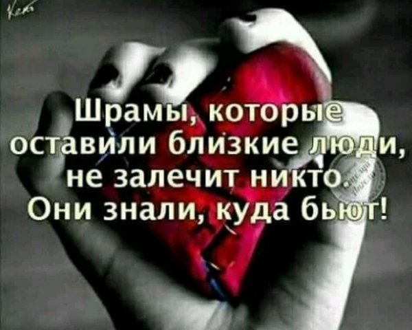Oni znali kuda bbyut