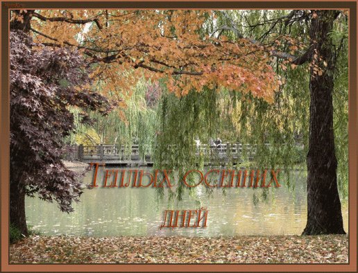 ТЕПЛЫХ ОСЕННИХ ДНЕЙ