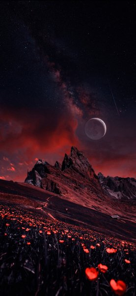 file_97133849