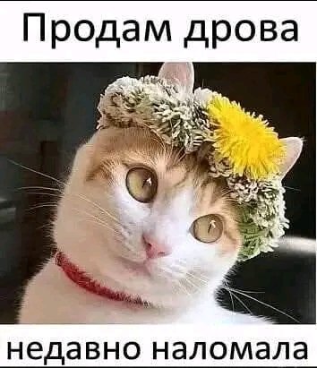 file_103147699