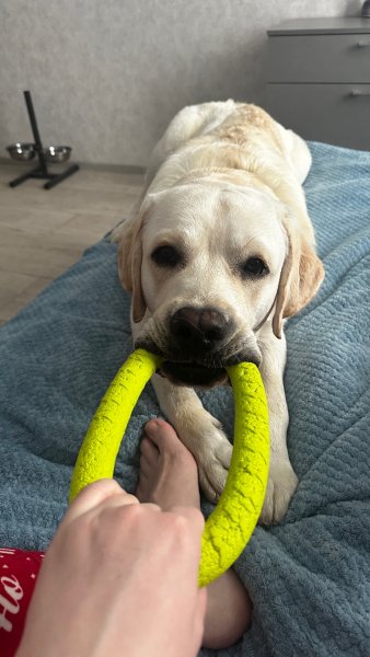 SFHKNBCXSGHJ5Y4VN481