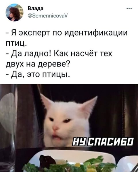 FB IMG 1744293326423