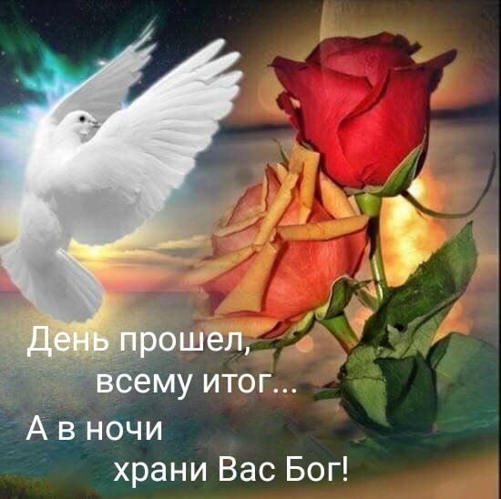 Доброй ночи