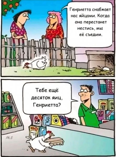 FB IMG 1777488449380