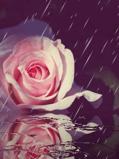 file_67109076