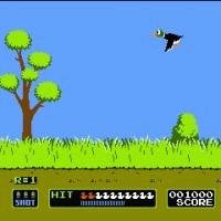 duck-hunt
