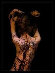 images(12)