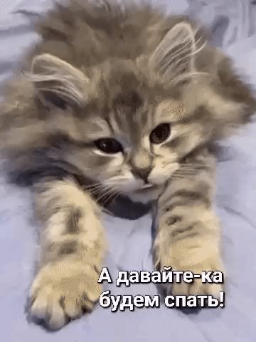 file_96386292