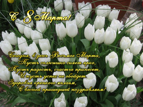 с 8 марта 5с