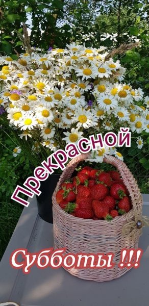 file_92000175