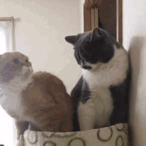 ))