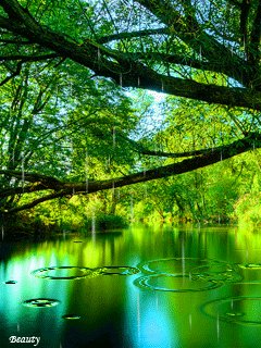 file_54731679