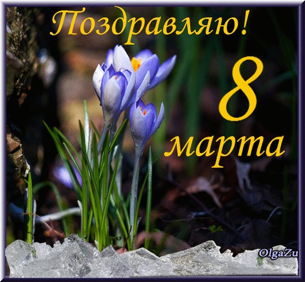 c699a752e992