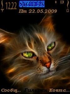 cat by abojasem.sis