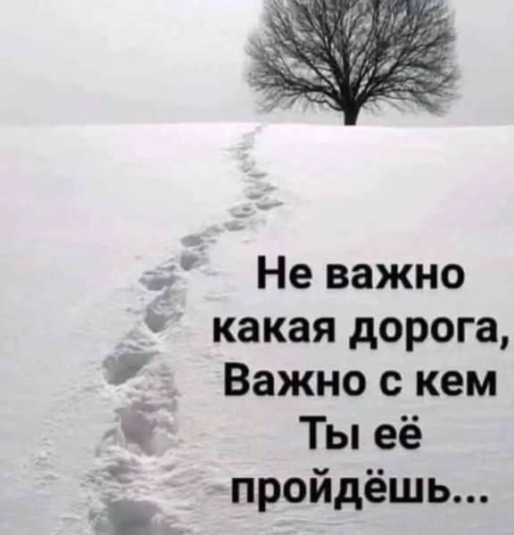 file_92502654