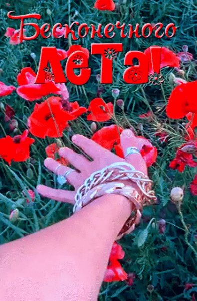 Бесконечного лета