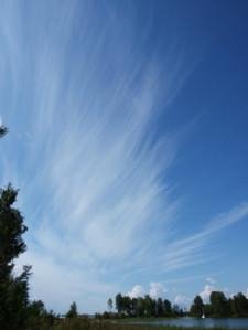 С. Есенин. Несказанное синее нежное