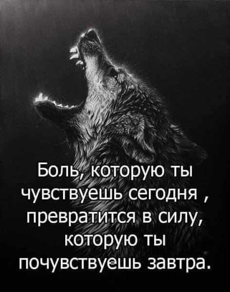 FB IMG 1627249778285