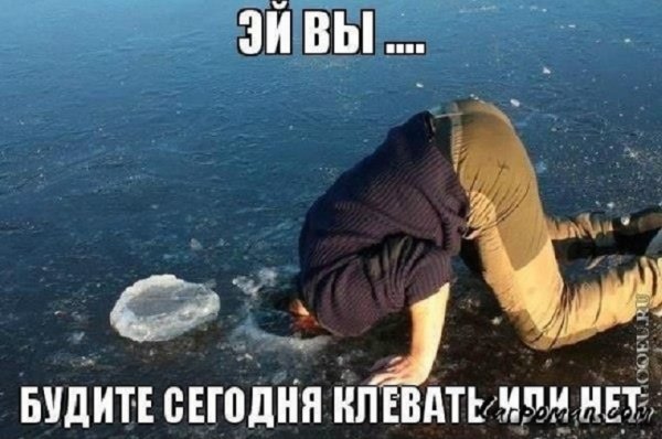 Эй вы...будите сегодня клевать или нет?