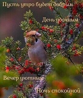 Доброго времени суток