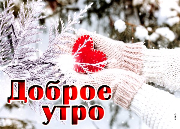 IMG 20231230 214949