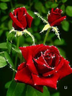 file_64084661