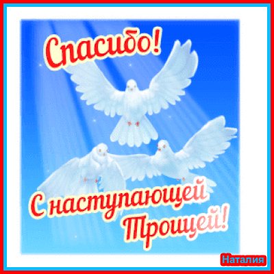 file_99993800