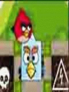 Angry Birds Find Your Partner
