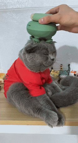 )