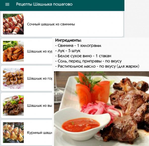 Рецепты Шашлыка пошагово 8.0
