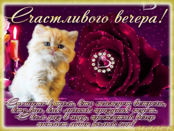 Счастливого вечера!