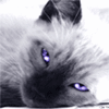 file_62586207