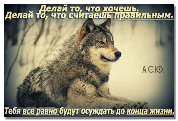 image (44)
