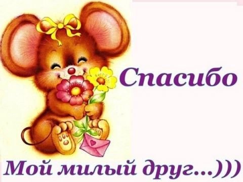 spasibo-drug
