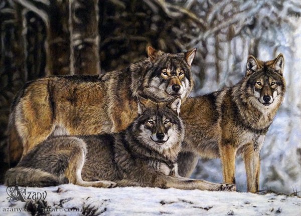wolf pack by azany-d8d80ix