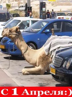 file_1000107
