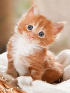 file_59260952