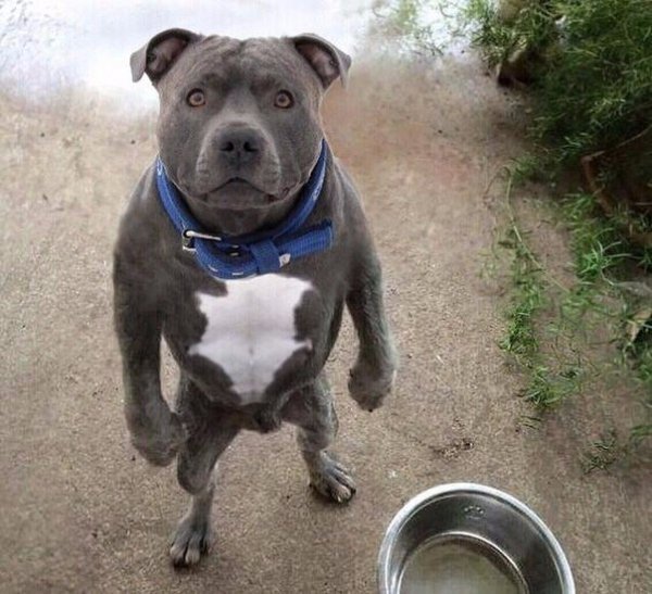 Users DefApps AppData INTERNETEXPLORER