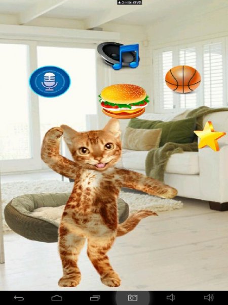 Real Talking Cat 1.1
